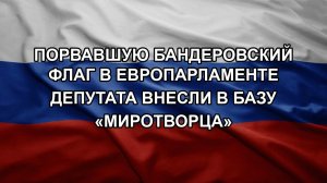 Порвавшую бандеровский флаг в Европарламенте депутата внесли в базу «Миротворца»