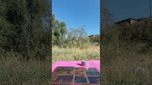 На что обратить внимание, что бы выйти на свой новый благоприятный уровень