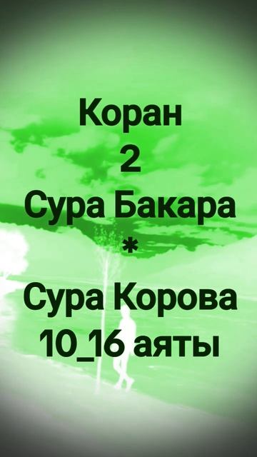 #Коран 2#Сура Бакара#Сура Корова#10-16 аяты #напоминание #shortsvideos → 👤 #shahmar_elmar