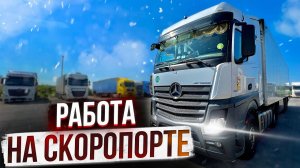 Дальнобой. Питомец в кабине) Рабочие будни СКОРОПОРТА! Полка на MP4-50 евро! Дальнобой по Европе