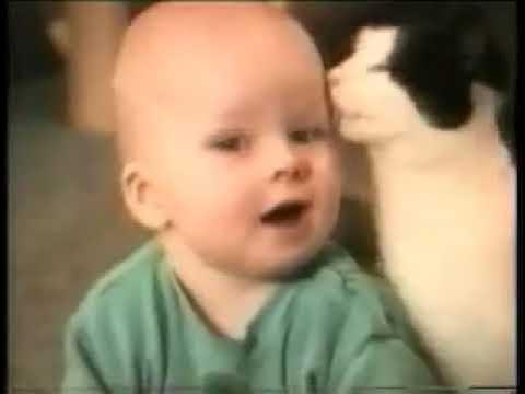 котэ смотреть онлайн