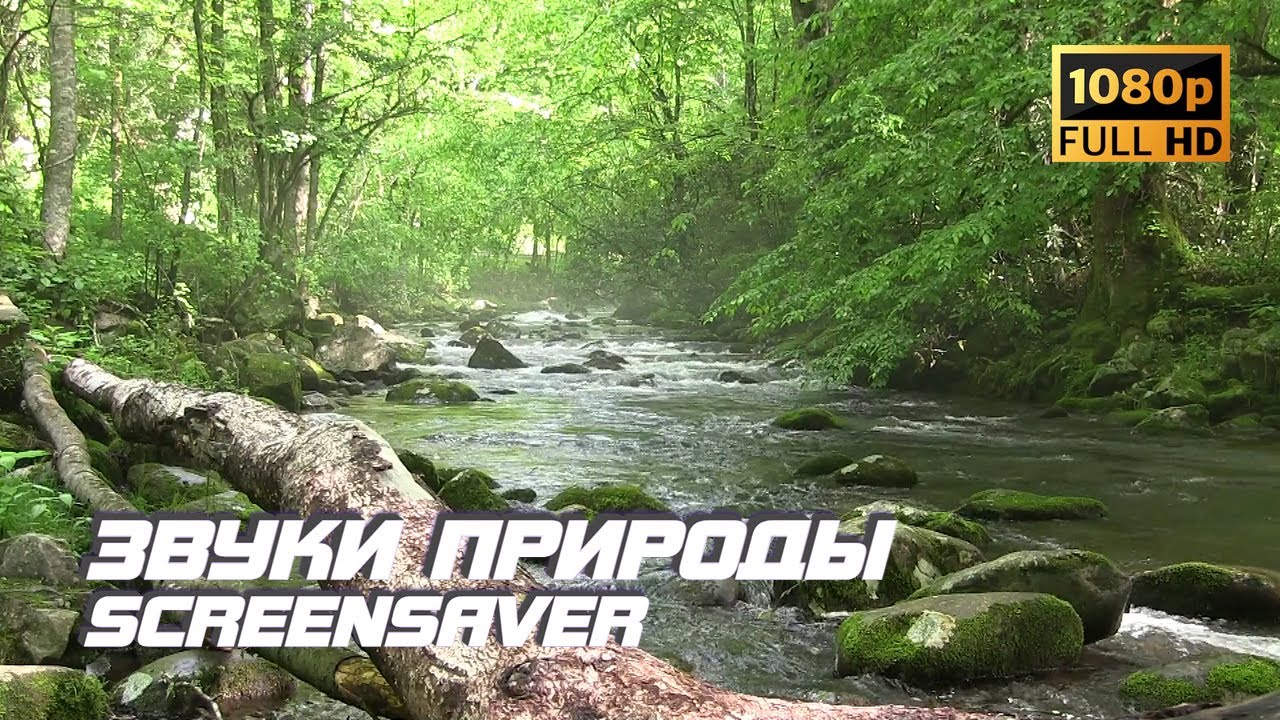 Живая природа - Река | Звуки природы | Звуки реки | Шум воды | Релаксация | Антистресс | Screensaver смотреть онлайн