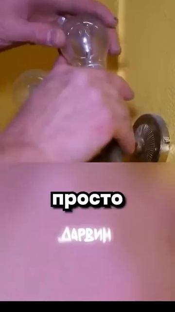 Перезалив душнилы √7 смотреть онлайн