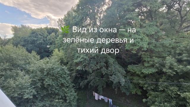 1000161242.mp4 смотреть онлайн