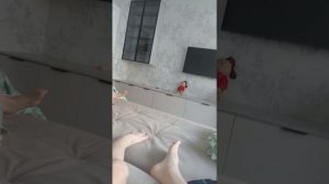 24 часа на диване