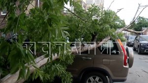 Пока водитель ждала помощи после падения дерева на её автомобиль, на  машину рухнуло ещё одно дерево