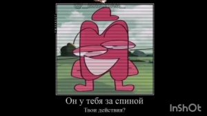 мемы с и.н.м.т.