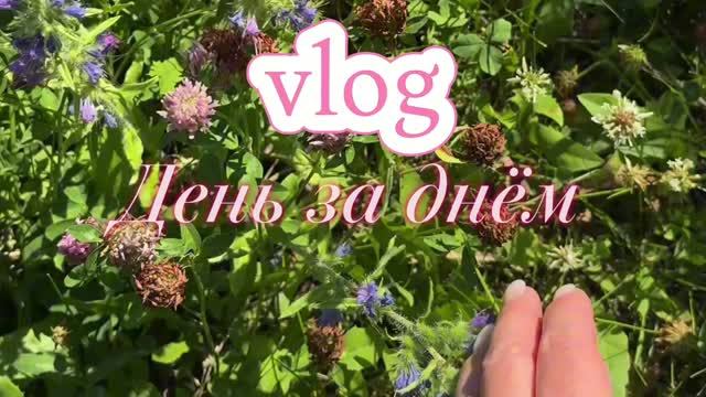Начало 🌸