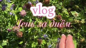 Начало 🌸