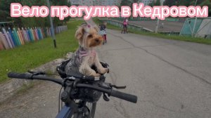 09-07-2026 ДОЧКА,ВНУЧКА и ЖУЧКА ой МОЛЛИ.🐶