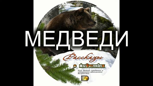 Детский рассказ о животных "МЕДВЕДИ" МСЦ ЕХБ (Благотворительный фонд "Дом Тепла") смотреть онлайн