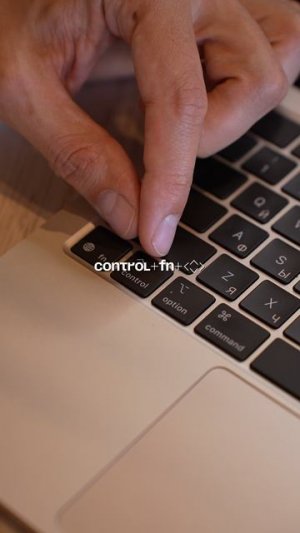 Какие сочетания клавиш должен знать каждый владелец Mac?