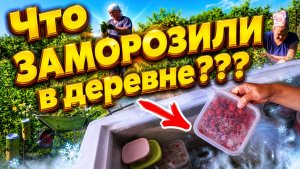 ЧТО ПРОИСХОДИТ В МОРОЗИЛКЕ | ДОМ В ДЕРЕВНЕ | Жизнь простых людей