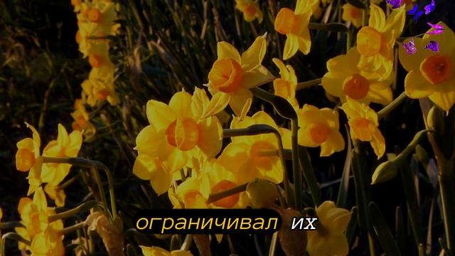 ❤️❤️❤️Цифровое Сердце: Любовь на Грани Виртуальности❤️❤️❤️ смотреть онлайн