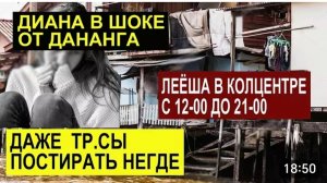 САМВЕЛ АДАМЯН, ОБЗОР ОТ СК, ДИВАН НЕДОВОЛЬНА ГОРОДОМ ДАНАНГ, ЛЕШКА ОДЕЛ ЧУЛКИ, РАБОТА В КОЛЛ ЦЕНТРЕ.