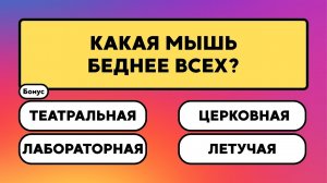 Лёгкие? Только на первый взгляд…   #викторина #вопрос #ответ #знания #эрудиция