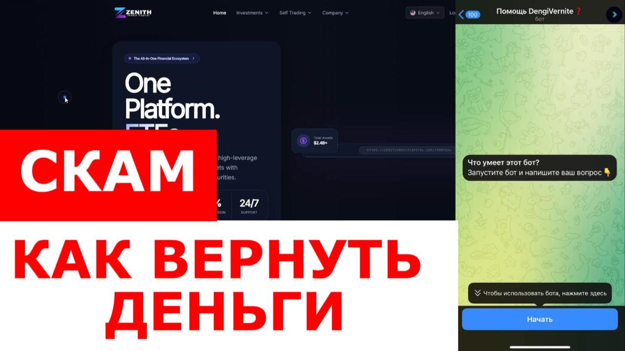 Zenith Invest (zenithinvestcapital.com) обзор, отзывы. Скам? смотреть онлайн