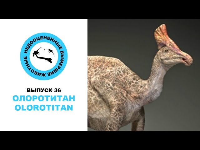 Недооцененные Вымершие Животные. Выпуск 36: Олоротитан (Olorotitan) смотреть онлайн