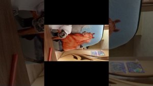 1 Видео про басикапо имени Арсений