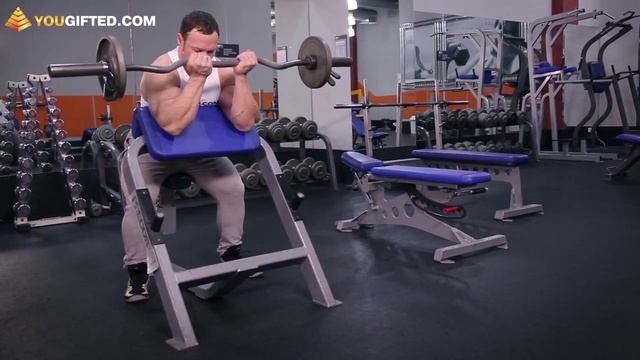 Упражнения для бицепсов. Сгибания на скамье Скотта