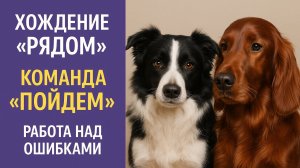 Движение рядом и команда пойдем - работа над ошибками.