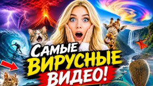 Встреча с диким лосем попала на камеру! 2026