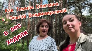 Как Тамила Олеговна с Ольгой Владимировной в лес ходили... 09 июня 2026