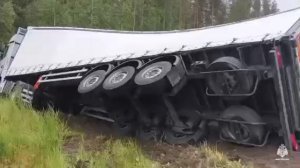 Четыре человека погибли в ДТП на трассе М-10 «Россия» в Тверской области.