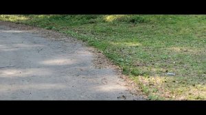 Постановочное видео или реальная жизнь? Что я об этом думаю