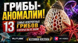 13 Самых Невероятных Грибов, О Которых Вы Не Знали!