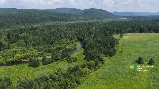 Седьмой полет в рамках проекта 