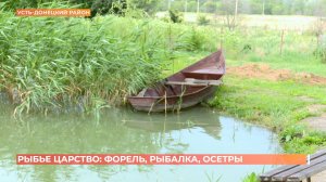 Рыбалка на осетра и форель в Усть-Донецком районе