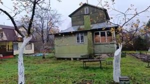 142-.Дача.всходит газонная трава 30.10.22