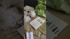 делаю распаковку роблокс мир Денди из бумаги делала сама если что