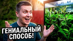 Хитрый способ выращивания аквариумных растений!