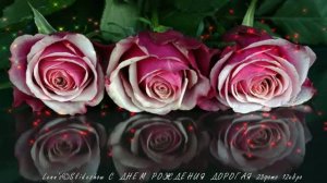 СЛАЙД-ШОУ С ДНЕМ РОЖДЕНИЯ ДОРОГАЯ...ВИШНЕВЫЕ РОЗЫ.
