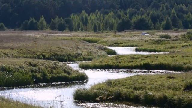 "Даль великая,даль бескрайняя..." смотреть онлайн
