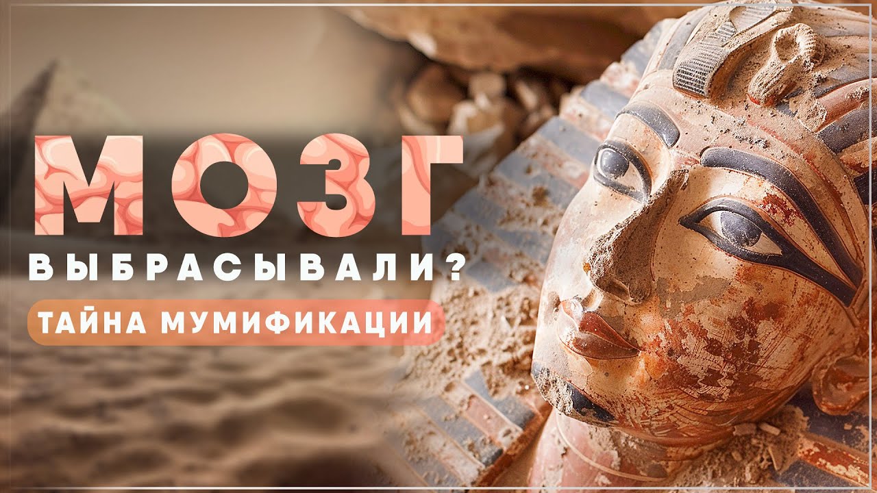 🧠 Почему ЕГИПТЯНЕ ВЫБРАСЫВАЛИ МОЗГ умерших? Тайные РИТУАЛЫ ЕГИПТА, о которых молчат учебники смотреть онлайн