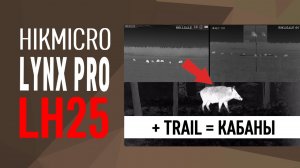 Выстрелы по кабанам через тепловизор HIKMICRO LYNX PRO LH25