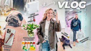 VLOG: МОЯ ПОВСЕДНЕВНАЯ ЖИЗНЬ!🌷🩶 Весна, Муж Сменил ГАРДЕРОБ, Фуня Приболел, Съемки REELS