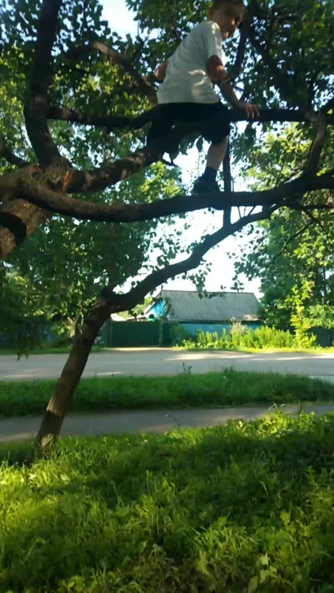 Никита