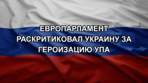 Европарламент раскритиковал Украину за героизацию УПА