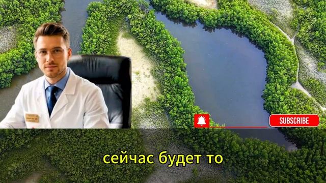 ПАМЯТЬ ВЕРНЁТСЯ! Мозг начнёт работать как компьютер после этого смотреть онлайн