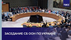 Заседание СБ ООН по Украине