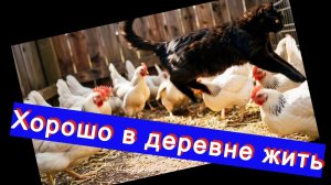 Хорошо в деревне жить - Александр Найдёнов