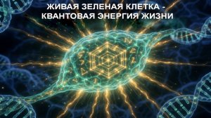 Живая Зелёная Клетка: Как открыть «сейф» природы и вернуть себе здоровье
