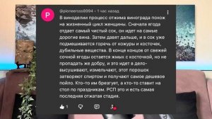Истории про РСП