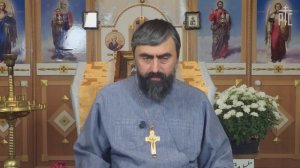 Не мир пришел Я принести, но меч! И враги человеку домашние его (прот. Александр Проченко)