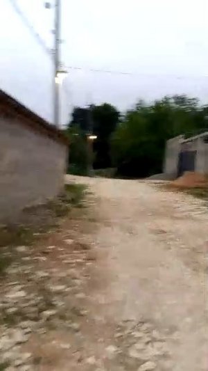 Иду в лес в селе