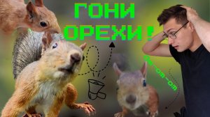 Самый наглый ЗВЕРЬ леса! Спойлер: это не белка